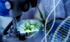 microscope en laboratoire avec des plants dans des boîtes de pétri et symboles d'