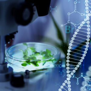 microscope en laboratoire avec des plants dans des boîtes de pétri et symboles d'