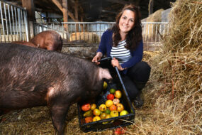 Une femme accroupie dans une case sur paille en train de donner une cagette de fruits et légumes à un cochon