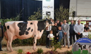 Une vache de race Prim'Holstein et un groupe de personne sur le podium d'un concours bovin lors d'un salon agricole