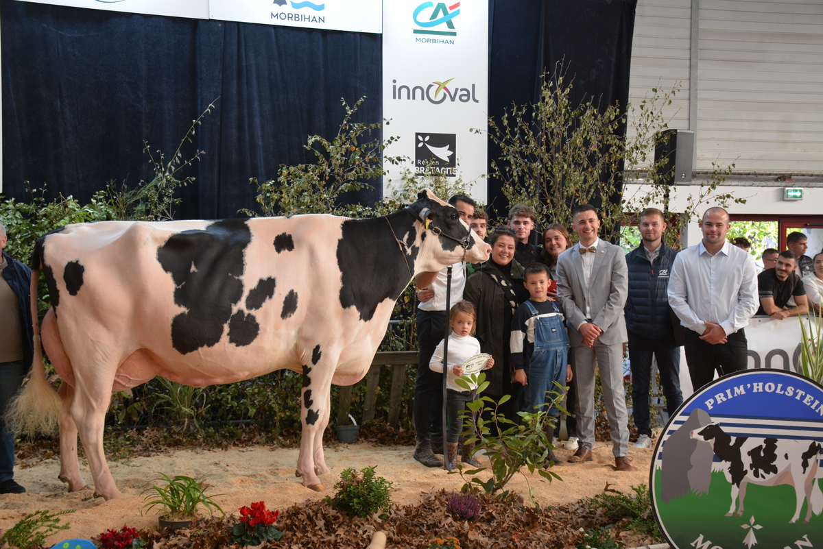 Ohhh la vache 2026 : Résultats des concours bovins