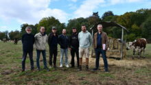 Des hommes dans un champ avec des vaches