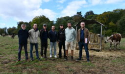 Des hommes dans un champ avec des vaches