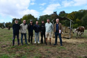 Des hommes dans un champ avec des vaches