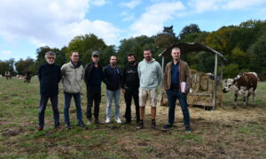Des hommes dans un champ avec des vaches