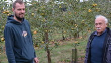 Deux hommes dans un verger