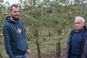 Deux hommes dans un verger