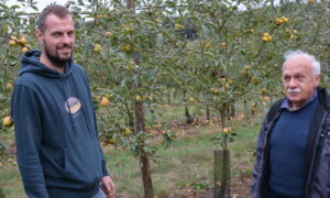 Deux hommes dans un verger