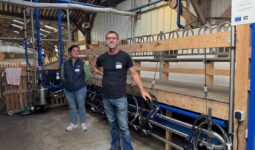 Une femme et un homme dans une installationd de traite pour chèvres laitières