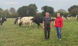 Un homme et une femme dans une prairie où pâturent des vaches laitières de race Prim'Holstein