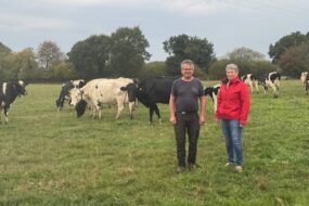 Un homme et une femme dans une prairie où pâturent des vaches laitières de race Prim'Holstein