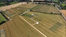Vue aérienne de parcelles d'essais agricoles