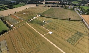 Vue aérienne de parcelles d'essais agricoles