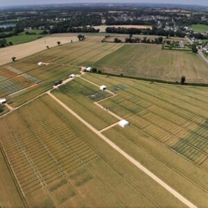 Vue aérienne de parcelles d'essais agricoles