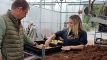 Un homme et une femme au corus d'un atelier de rempottage dans une serre