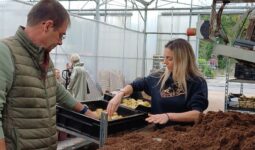 Un homme et une femme au corus d'un atelier de rempottage dans une serre