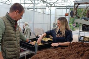 Un homme et une femme au corus d'un atelier de rempottage dans une serre