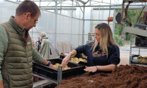 Un homme et une femme au corus d'un atelier de rempottage dans une serre