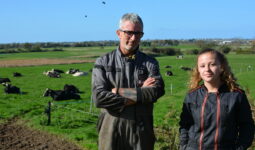 Un homme et une femme devant des vaches