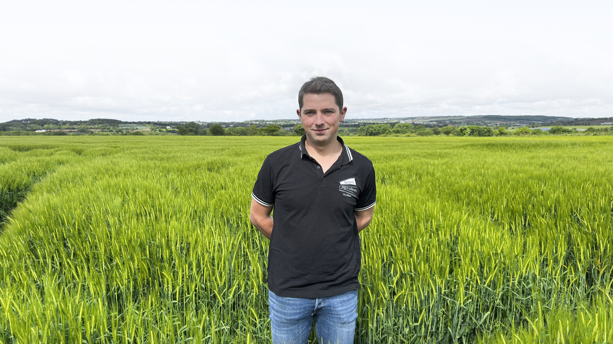 Un jeune agriculteur dans un champ de céréales - Illustration À Plouzané, une jeunesse rurale loin des clichés