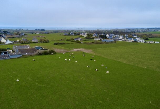 Vur aérienne d'un paysage de campagne en bord de mer