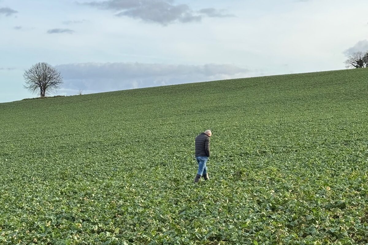 Un homme seul marche dans un champ cultivé - Illustration Savoir s’arrêter un peu  pour envisager l’avenir