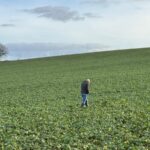 Un homme seul marche dans un champ cultivé