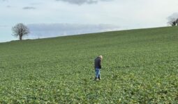 Un homme seul marche dans un champ cultivé