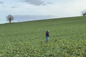 Un homme seul marche dans un champ cultivé
