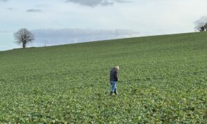 Un homme seul marche dans un champ cultivé