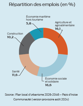 graphique des orientations technico économique de la répartition des emplois par secteur d'activité dans le pays d'iroise.png